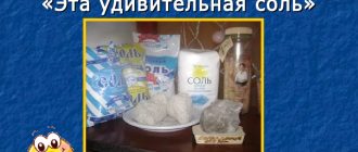 Проект в старшей группе
