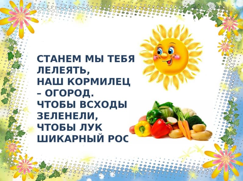 Проект в доу маленькие огородники 11
