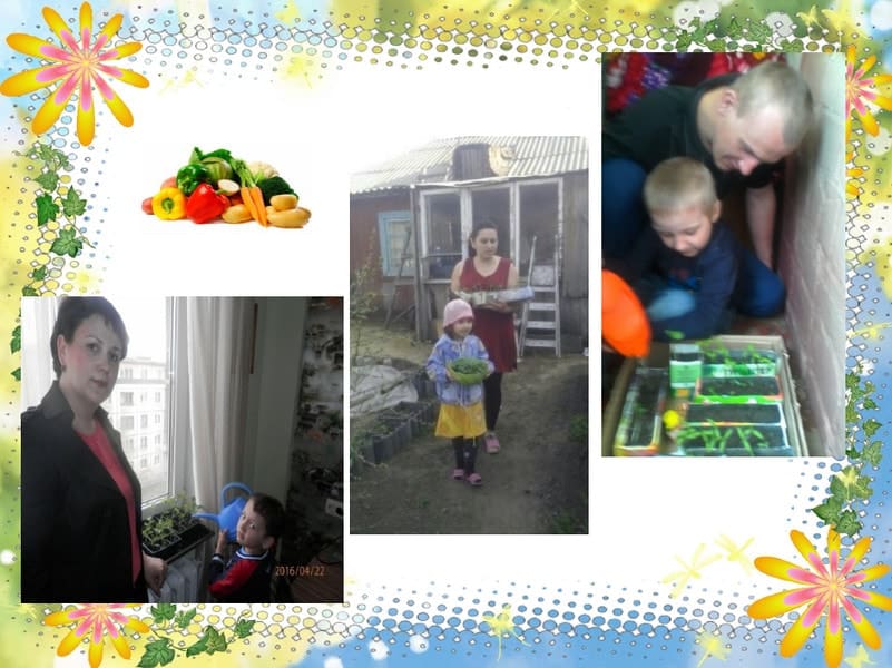 Проект в доу маленькие огородники 15
