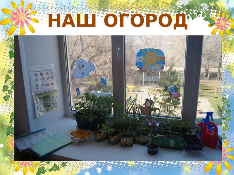 Проект в доу маленькие огородники 16